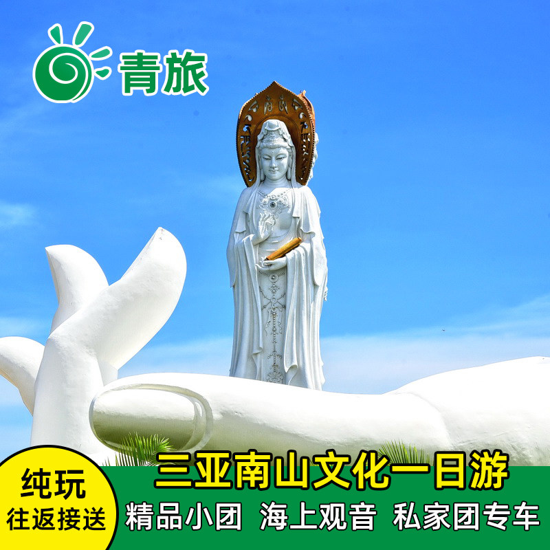 海南旅游跟团游哪个好?这款纯玩一日游真香了-旅游-淘宝好物网