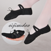 Gymnastics Shoes Dance Shoes Soft Bottom Shoes Skills Shoes Two Points Shoes Ballet Shoes Foot Tip Shoes Cat Paw Shoes