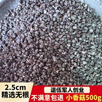 Small shiitake mushroom dry goods pearl mushroom 500g farm specialty Donggu selected small mushroom commercial bulk Xiangru money mushroom
