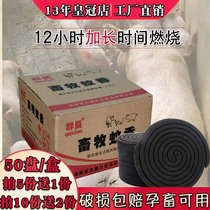 Animal husbandry mosquito coils wild sow 12 hours cattle and sheep farms Group morning plus large plate animal mosquito coils 50 boxes