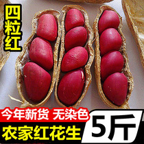 Farm red skin peanuts 5 pounds of freshly dried raw peanuts with shell red coat four red flowers and raw rice new snacks