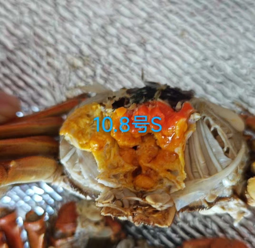 2-3两母蟹大个的差点时间，这波真香！_游戏平台_淘宝游戏网