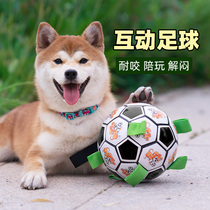 Pet toy ball Football toy Bite-resistant Teddy Corgi Shiba Inu molar cotton rope Interactive elastic ball Pet supplies