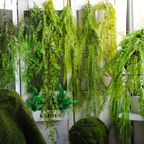 Simulated green rattan feel Persian Fern decoration string false vine plant horns wall hanging ornaments