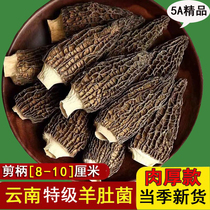 Goat Belly Fungus Dry Cargo grade Yunnan specialite Goat Belly Mushrooms Meat Thick No Sand Cut Handle 8-10 cm When Season Fresh Mushrooms
