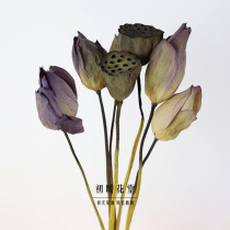 Natural real stem lotus dried flower lotus canopy real flower for Buddha Zen dried fruit original ecological lotus home decoration flower arrangement