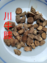 Sichuan Achyranthes bidentata sweet Achyranthes bidentata Sichuan Achyranthes bidentata can be powdered 2