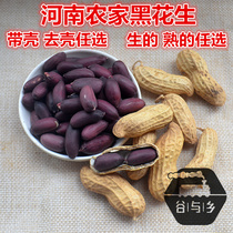 New black peanut kernels Henan Black peanut fruit shelled purple baked barbecue cooked black peanut powder ready-to-eat 500g