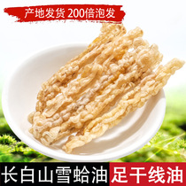 Changbaishan Snow clam oil Forest frog oil Toad oil net oil Snow Ha oil Northeast snow clam cream new line oil dry oil 20g