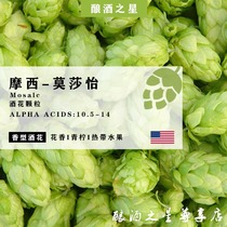 Moses hops Mosaic Mosaic bitter and excellent hops fragrant flowers mosayi Moses Mosa Moses Moses Moses