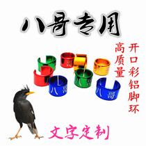 Brother red-BBED Jay Jay carp White-necked crow text custom stainless steel color opening bird foot ring custom