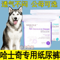 Husky special dog diapers 2 ha menstruation pants diapers female female dog puppies big aunt towel