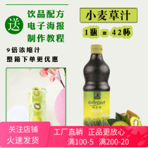 Qixi Kwai Like Wheatgrass juice concentrate Kiwi kiwi kiwi mixed instant juice drink Special for new time brewing
