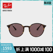 RayBan Ray Ban new sunglasses cool rounded big frame retro sunglasses 0RB4336CH