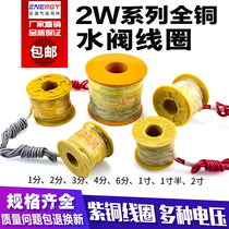 Copper solenoid valve 2W water valve coil 220V24V12V 2 minutes 4 minutes 6 minutes 1 inch 2 1 inch and a half 2 inch