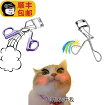 Full 2 minus 5 ~ everbab Ai Bei pull curl long-lasting eyelash curler wide angle sunflower a beginner