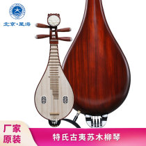 Xinghai Liuqin Musical Instrument Tingshi Guyi Sumu Material Raw Wood Color Copper Fine Fine-tuning Flowers Expensive Liuqin 8413