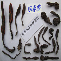 Rejuvenating grass Yangyuan grass Tibetan whip grass Rejuvenating grass bubble wine material 500 grams 98 yuan without powder 2 pieces