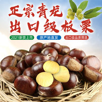 Qinglong chestnut 2021 new goods Hebei Jingdong Yanshan specialty mountain goods authentic fresh farm self-produced bulk oil chestnut