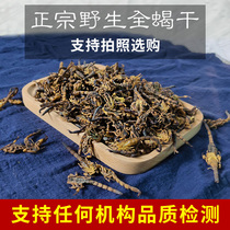 Scorpion dry Chinese herbal medicine whole insect 100g clear water whole scorpion dry goods whole no sulfur-free salt can be soaked wine grinding powder