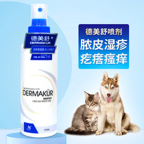 Dog Kitty Dog Dermatology Pet Bacteria Infected Abscess Pussy Pussy Pruritus Pruritus Red Swollen Dermatitis Abscess Pus Spray