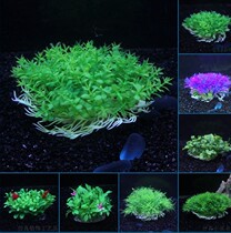 Small fish tank fake grass simulation flowers and plants aquarium decoration landscape water grass plastic grass foreground grass green grass