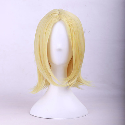 anime wig store