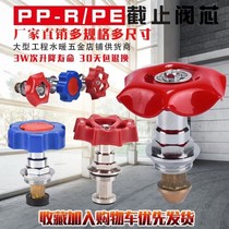 PPR globe valve spool PE valve core boutique copper spool 20 25 32 lifting spool Plumbing accessories