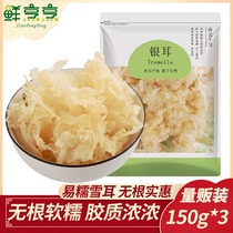 Fresh cooking authentic snow ear Gutian white fungus root rootless dry goods sulfur-free smoked white fungus silver out of glue lotus seed soup glutinous ear