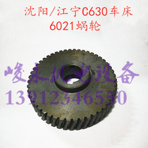 Shenyang Anyang Zhenjiang Jiangning lathe accessories C630 C630-1A CA6163 slide box worm gear 6021