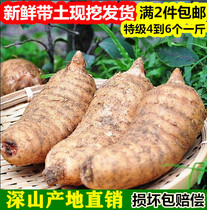 Now dig special fresh winter hemp dry Gastrodia elata Chinese medicinal materials nourishing non Yunnan Zhaotong Gastrodia 500g Full 2kg