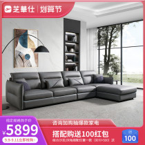 Shihua City Science and Technology Fabric Sofa Living Room Combination Italian Light Luxury High-end Very Simple Large and Large Household 2007