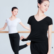 Dance suit Female summer adult indoor teacher gymnastics practice suit Training short-sleeved top slim V-neck body suit