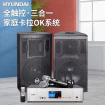 HYUNDAI HYUNDAI HY-15 professional stage performance set Conference room audio Home ktv microphone amplifier