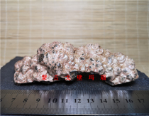 Natural Alxa Gobi Agate Mongolian Gobi Stone Fengling Stone Ancient Wood Fossil Specimens