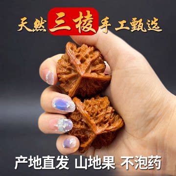 三棱正奔文玩核桃-三棱正奔文玩核桃促销价格、三棱正奔文玩核桃品牌- 淘宝
