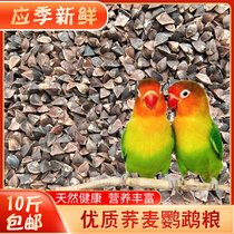Medium grain shell buckwheat pigeon ornamental pigeon Parrot bird eating hamster ChinChin grain 10kg