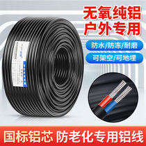 Outdoor national standard wire aluminum core sheathed wire anti-aging overhead buried wire two-core 6 10 16 25 square aluminum wire