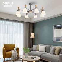 Opal Lighting Nordic Modern Simple Chandelier -8 Head-Silver Grey (to be brought on site)