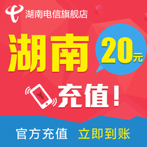 Hunan telephone charge 20 yuan telephone charge charge charge mobile phone charge charge charge quickly to the account