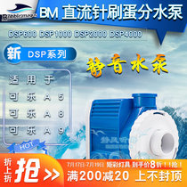 BM seawater fish tank DC needle brush egg separation pump a5 a8 a9 egg separation pump dsp600dsp1000dsp4000