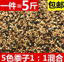 Tiger skin peony Xuanfeng small and medium-sized parrot bird food feed five-color millet parrot mixed nutrition grain Millet