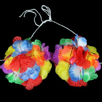 Hawaiian hula accessories Adult childrens hula bra plastic chest-wrapped June 1 Childrens Day performance clothing