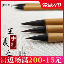 Yiyun Pu Zhuang Wang Xizhis handwritten brush large and medium-sized calligraphy regular script set small letter special running script