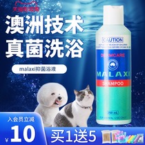 MALAXI SPICY medicine bath CAT moss CAT ringworm Cat dog shower gel Pet skin disease fungal bath bath
