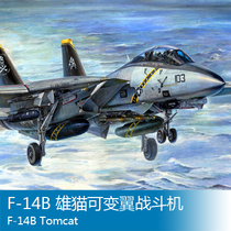 Trumpeter 03202 1 32 F-14B Tomcat Variable Wing Fighter