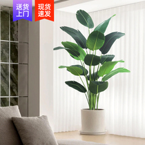 Simulation green plant fake plant light luxury living room decoration tree indoor large potted plant floor decoration bird of paradise simulation flower