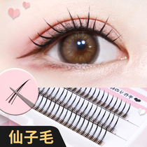 Senko Fur False Eyelash Woman Natural Single Tuft Shirinay Grafted a wool false eyelash Natural simulation A type eye lash