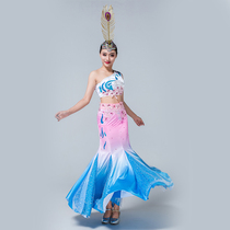 Dai costume adult female new peacock dance Dai skirt female ethnic style art test performance long fish tail suit