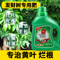 Plant nutrient solution Universal household flowers and plants potted hydroponic flowers green dill vegetable fertilizer Indoor green flower fertilizer